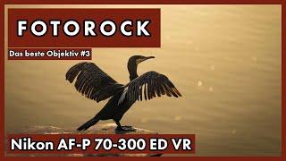 Das beste Objektiv | Teil 3: Nikon AF-P 70-300 ED VR | Wildlife Innenhafen Duisburg | Fotorock #6.3