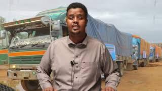 Hubka Itoobiya Ka Yimid Ee Puntland ku Socday Yaa isku Dayay In u Dhaco