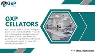 Technical writers in Canada | GxP Cellators