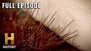 Face Off with the Fire Urchin (S1, E6) | Kings of Pain | Full Episode