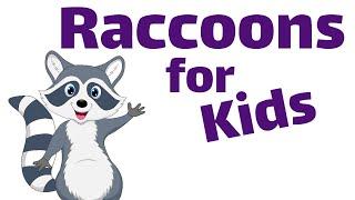 Raccoons for Kids | Homeschool Pop