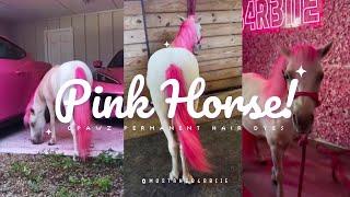 Stunning Pink Horse Creative Grooming with  OPAWZ Permanent Pet Hair Dye #opawz #creativegrooming