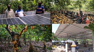 FIRST SOLAR IRREGATION COCOA FARM IN GHANA OWN BY CoP MEMBER - ELDER PETER OPPONG