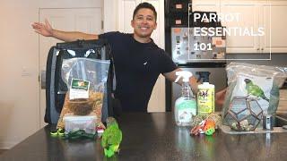 Parrot Care Essentials | Everyday Care For My Senegal Parrot