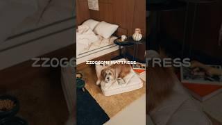 New Arrival - N32 ZZOGGOMI MATTRESS