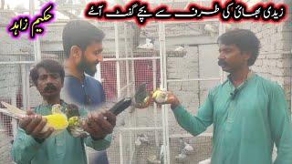 Pola G Ko Jaidi Bhai Ki Tarf Se Bache Gift Aye | Pola G Pigeon Club