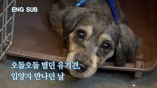 [ENG SUB] 크리스마스의 기적...꼬마 유기견에게 가족이 생겼어요 | 강북 호딩 구조기 EP.5