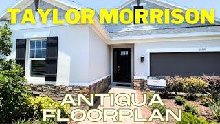 Antigua Floorplan | Taylor Morrison | Wesley Chapel Florida