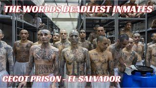 The Most Dangerous Inmates in the Worlds Largest Prison. #cdcr #prison #inmate