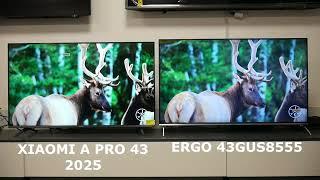 Xiaomi A PRO 43 vs ERGO 43GUS8555 - порівняння недорогих QLED телевізорів