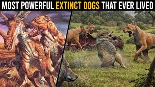 These Are the Most Powerful Extinct Dogs That Ever Lived...