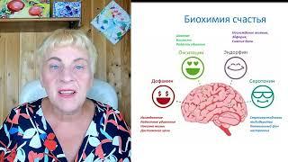 Омоложение мозга | Гормоны счастья