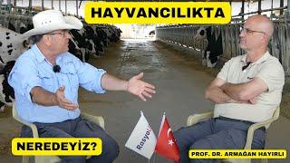 PROF. DR. ARMAĞAN HAYRILI'NIN MÜTHİŞ YORUMU (Hayvancılıkta Neredeyiz?)