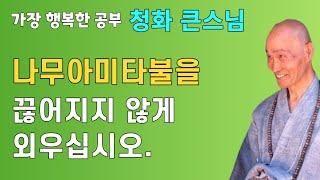나무아미타불을 끊어지지 않게 외우십시오  - 청화큰스님 법문 | 금륜회 미타회 염불수행 청화스님법문
