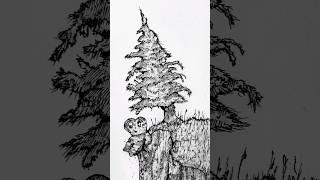 drawing a trees soul #art #artshorts #drawing #illustration #artist #timelapse #creative #color