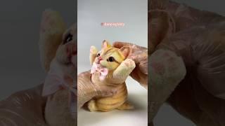 The kitty could dance with me everyday #cute #kitty #kitten #kawaiiaesthetic #satisfying