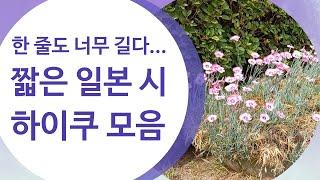 재미있는 짧은 시,  '하이쿠'  모음