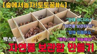 [숲에서놀자!토토꿀#4] 박스로 자연물 보관함 만들기 (숲속놀이/자연놀이/보관하기/나누기/보관통/재활용/새활용)