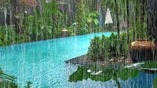 Heavy Rainstorm with Strong Winds in Garden & Swimming Pool of a Homestay in a Traditional Village