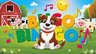 Bingo Dog poem|Nursery Rhymes|zigzag tv kids|