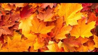 Autumn leaves demo