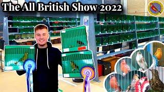 The All British Bird Show 2022 - Finches, Hybrids, Softbills & Norwich Canaries