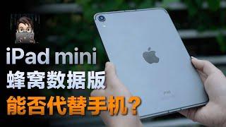 iPad mini 6 蜂窝数据版能否代替手机？｜iPad mini6使用体验【4k】