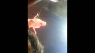 Rihanna show