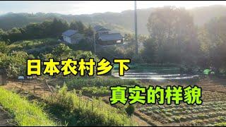 日本農村老家地廣人稀，不養家禽牲畜，生活遠離喧囂，平靜安逸