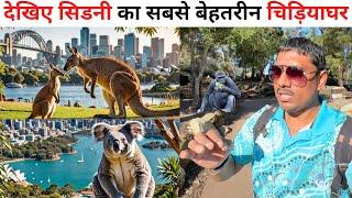 Exploring Australia Most Scenic Zoo In Sydney | Taronga Zoo Sydney