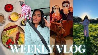 WEEKLY VLOG  (a wholesome week in texas!! productive morning vibes, cozy night routine, cooking+)