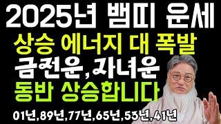 2025년 뱀띠 운세 :상승 에너지 대폭발! 재물운,자녀운 잘 풀린다