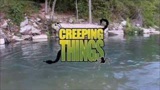 Creeping Things: Country Creepers Teaser