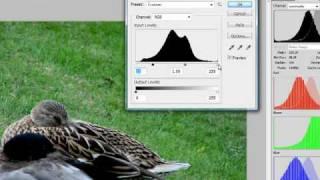 Photoshop - Levels And Histogram