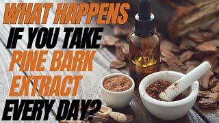 What Happens If You Take Pine Bark Extract every day?