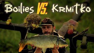 Boilies vs. Krmitko - lov kapra