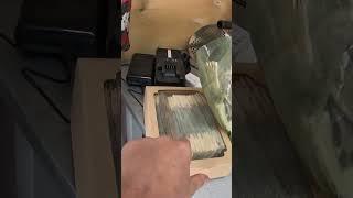 Новая копилкапосмотрим сколько собереться!#копилка #хобби #монеты #мелочь #деньги #мечта #коплю