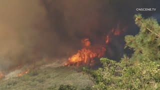 Radford Fire: Wildfire continues to grow in Big Bear area