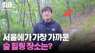 죽기전에 꼭 가봐야할 서울 힐링 여행지!! 숲해설가의 도심 숲해설!