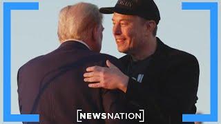 Musk ‘started a revolution' before leaving White House: GOP strategist | NewsNation Now