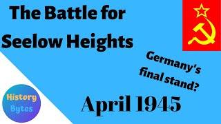 History Bytes:  Battle for Seelow Heights- Germany's final stand?