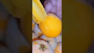 Loquat Fruit #wow #yummy #satisfying #amazing #fruitcutting #shorts #fyp #fruit #viralvideo #fresh