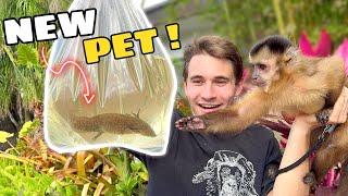 SURPRISING My MONKEY With An AXOLOTL !