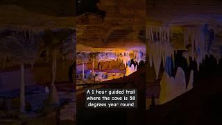 Forbidden Caverns underground cave trail in Sevierville, Tennessee #underground #tennessee