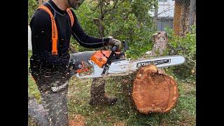 Baumscheibe schneiden mit Stihl MS 500i