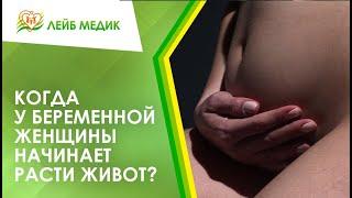  Когда у беременной женщины начинает расти живот?