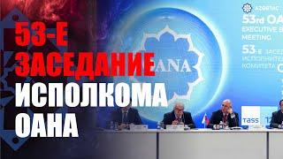 В Москве состоялось 53-е заседание Исполнительного комитета ОАНА