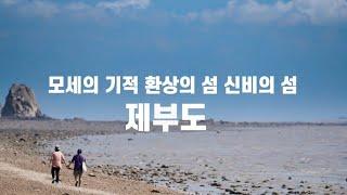 슬기로운 여름생활!가족여행 #제부도