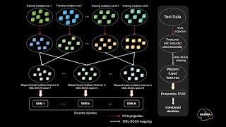 Early Dementia Diagnosis using Convolutional Brain Morphological Multiplexes (Lisowska et al  2018)