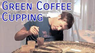 Green Coffee Cupping